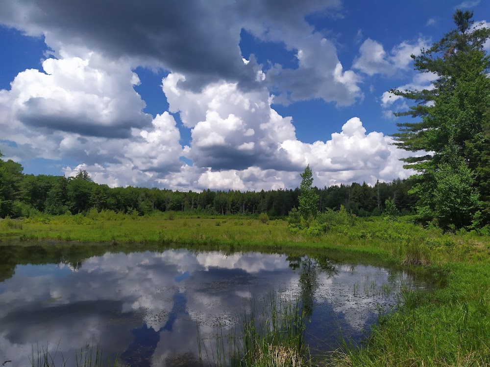 Burnt-Rossman Hills State Forest