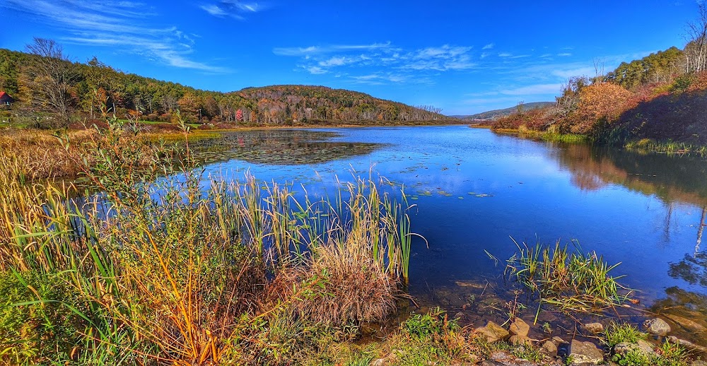 Franklinton Vlaie Wildlife Management Area