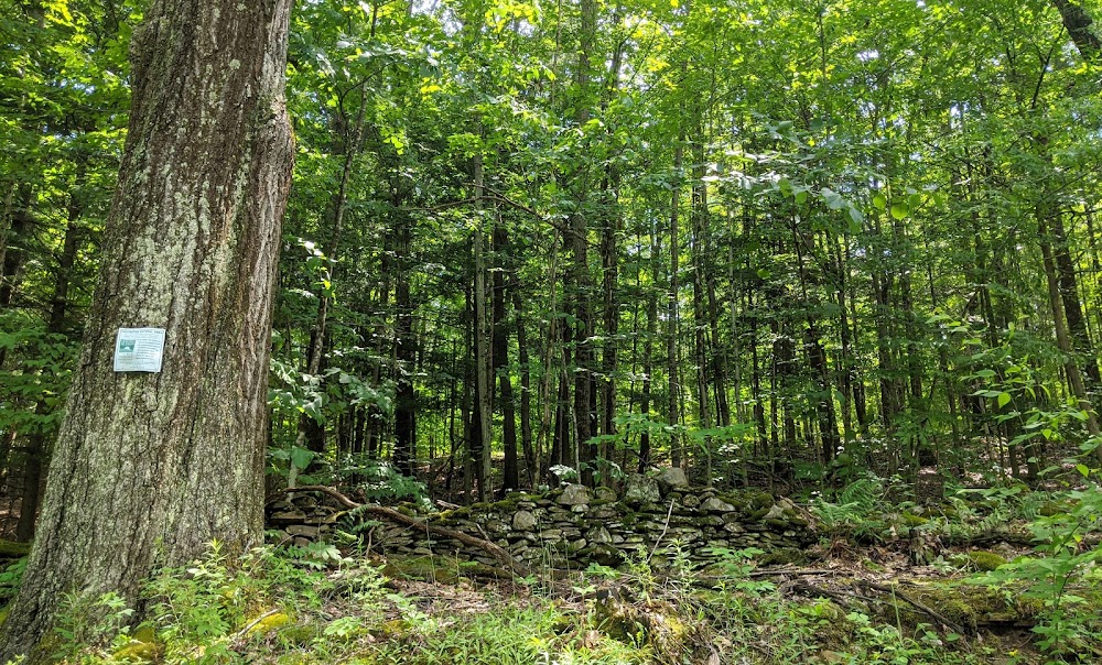 Schoharie Creek Preserve