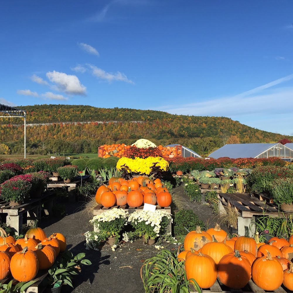 Schoharie Valley Farms/The Carrot Barn