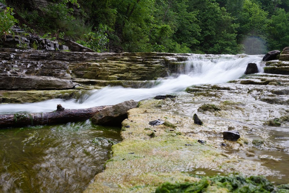 Wintergreen Park